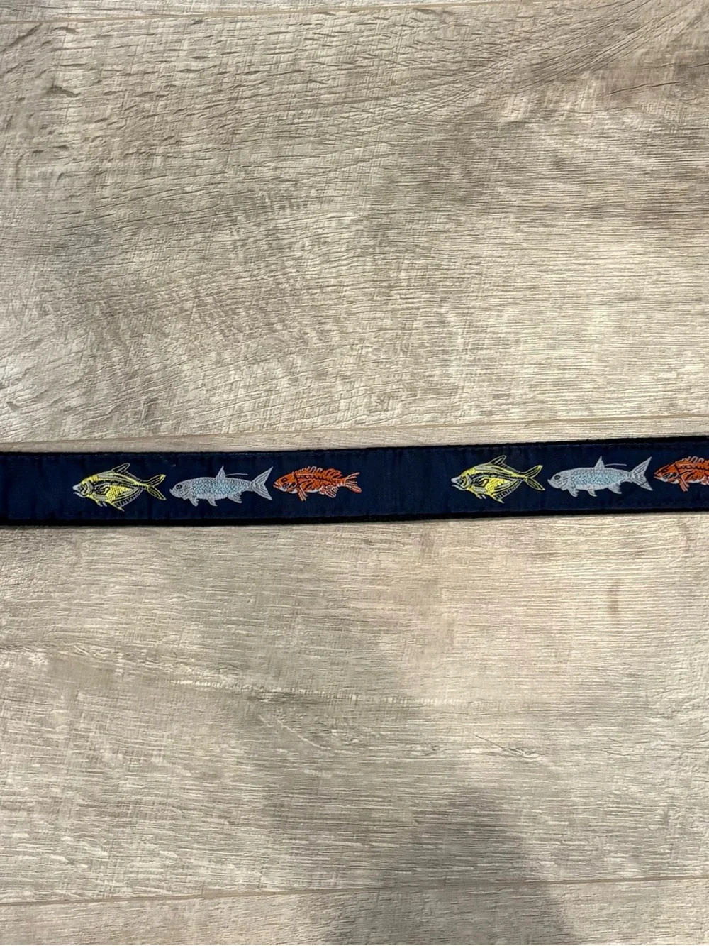 BeRibbon Kids Navy Fish Embroidered D-Ring Belt